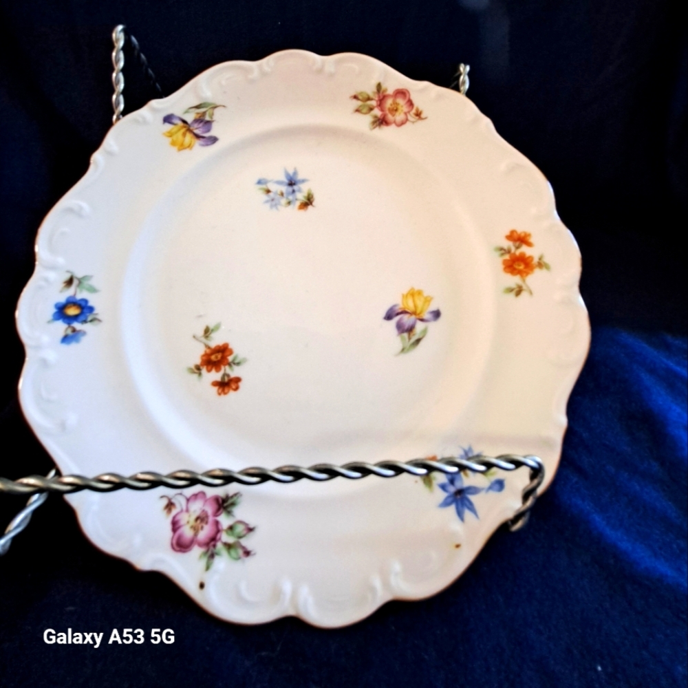 Vintage Porcelain 8" Hand Painted Plates From Bavaria